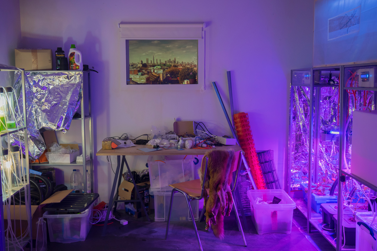 work station below a window overlooking the city and a fox pelt hanging over a chair amidst food production stacks